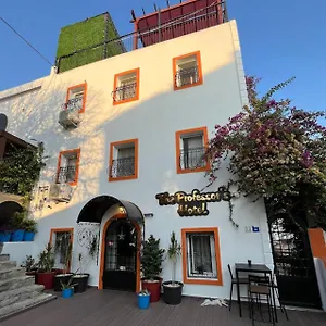The Professor's Hotel